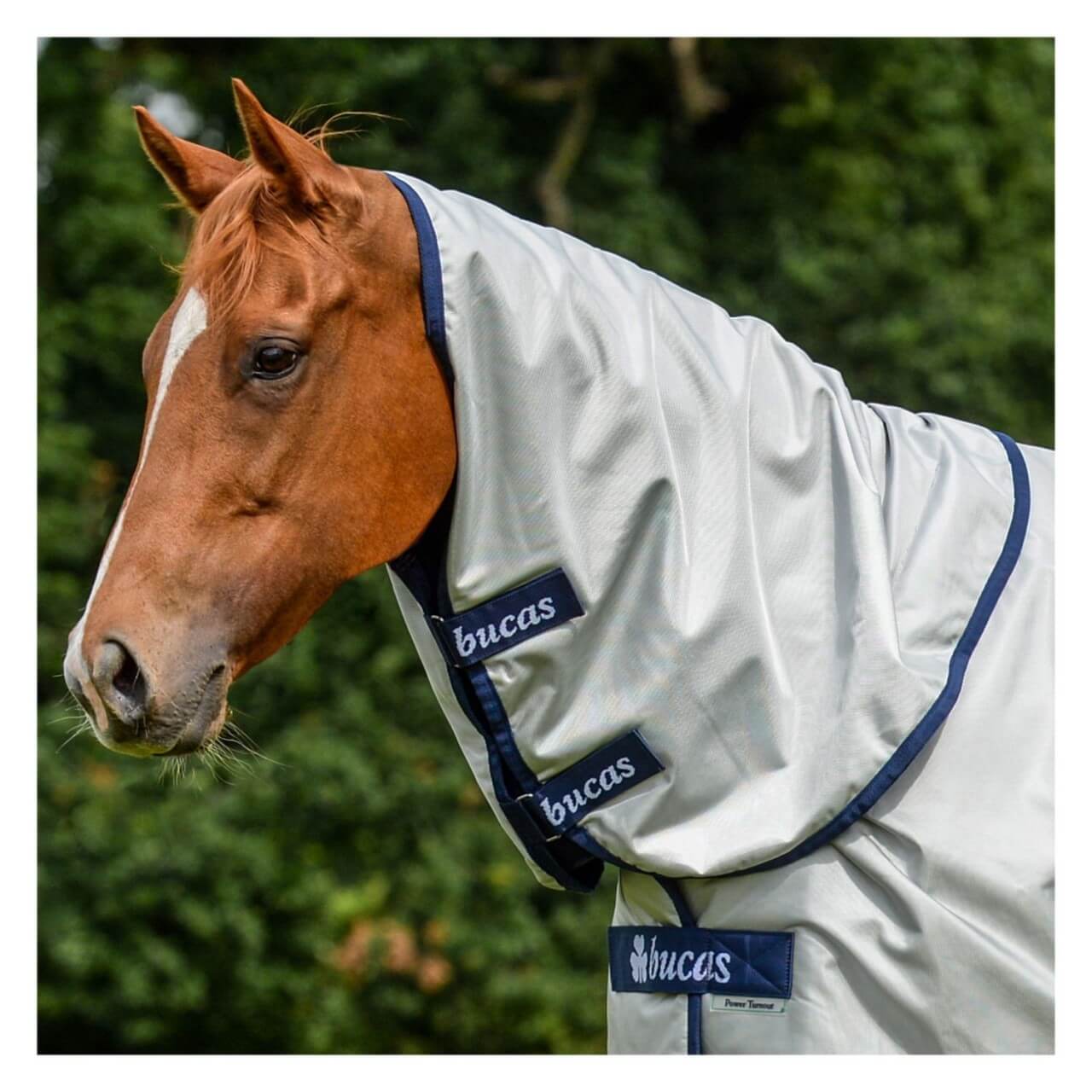 Protège-cou Bucas Power Combi Pour Couverture D'équitation - Imperméable Et Respirant - Taille L (pour Cheval Jusqu'à 145 Cm)