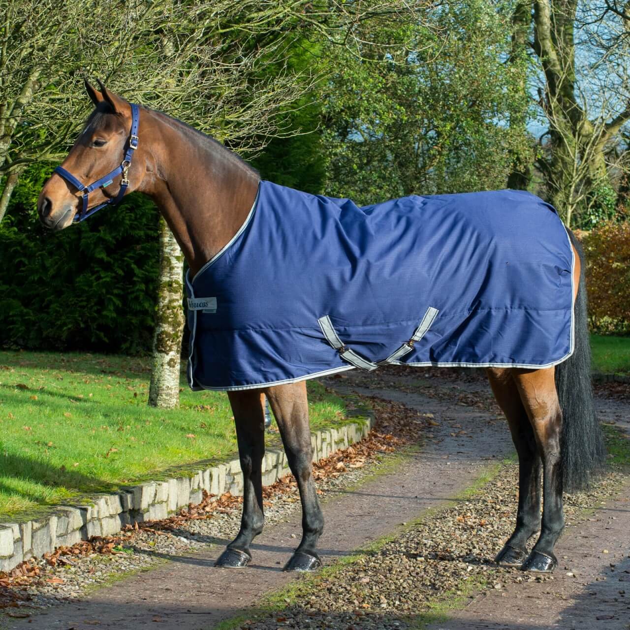 Lot De 2 Rallonges Pour Couverture Bucas – Extension Poitrine Environ 8 Cm – Bleu Et Noir