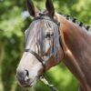 BUSSE Halfter Weide- Fransen Stallhalfter