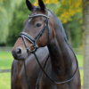BUSSE Trense Monza