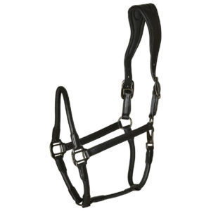 Catago Equestrian Lederhalfter