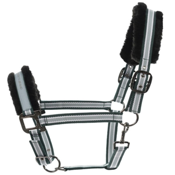 Cavallo Halfter Helia HW 2022