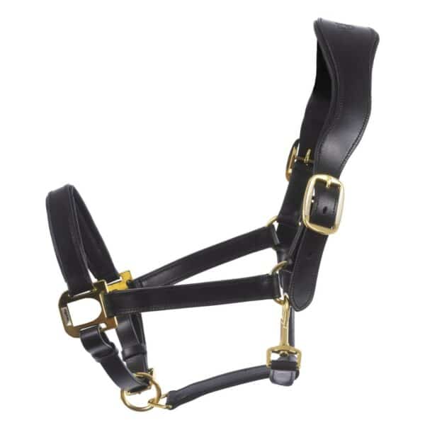 Cavallo Halfter Ronja