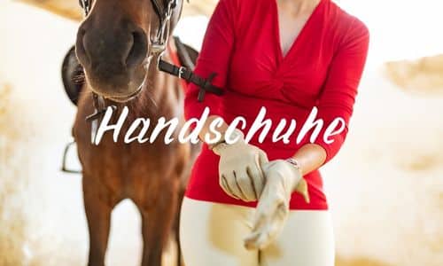 Handschuhe Startseite