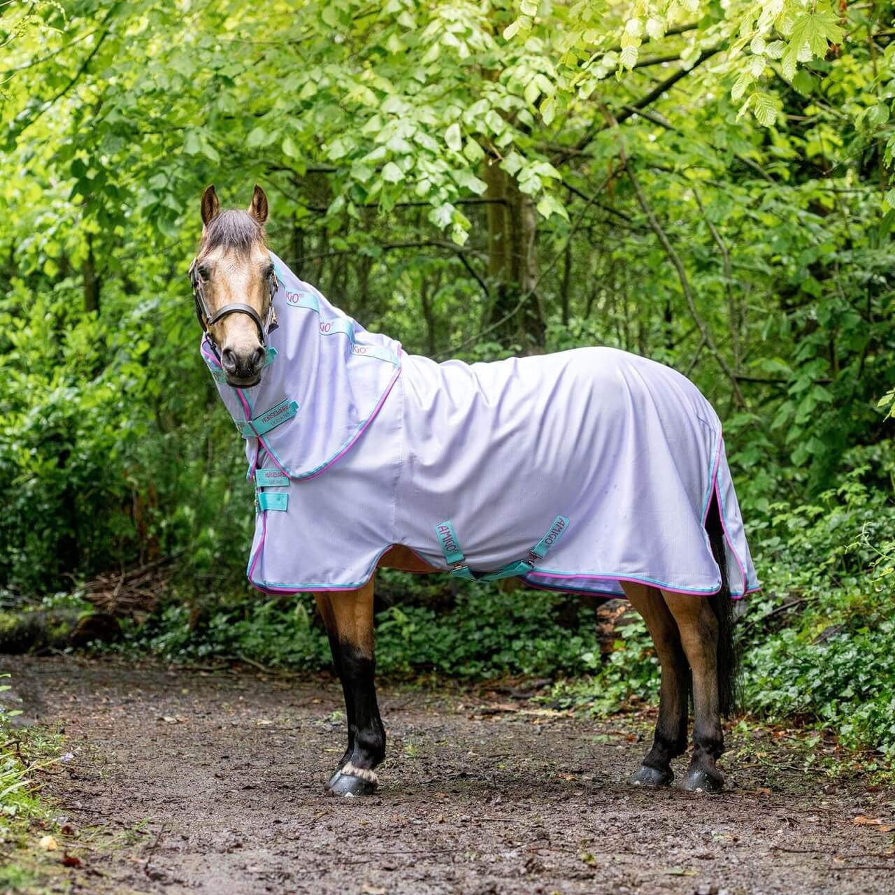 Horseware Ireland Fliegendecke Amigo Bug Rug Pony