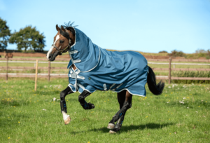 Horseware Ireland Outdoordecke Amigo AmEco Bravo 12 Plus Turnout 0g Pferdedecke