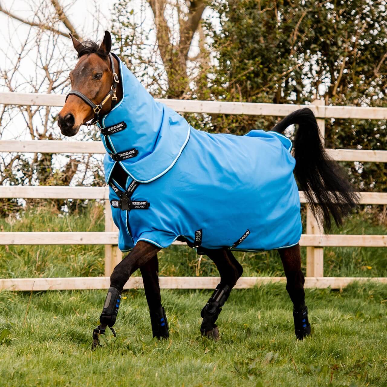 Horseware Ireland Outdoordecke Amigo Hero 900 Plus T/O Med 200g Weidedecke