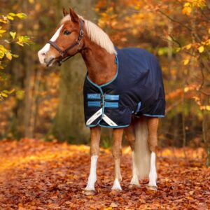 Horseware Ireland Outdoordecke Amigo Pony Bravo 12 Turnout Medium 250g Winterdecke