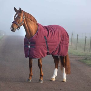 Horseware Ireland Stalldecke Rambo Stable Rug 100g Winterdecke