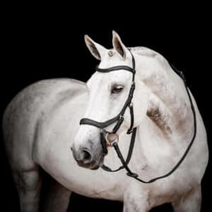 Horseware Ireland Trense Micklem 2 Competition Bridle Micklemtrense