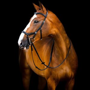 Horseware Ireland Trense Micklem 2 Deluxe Competition Bridle Micklemtrense