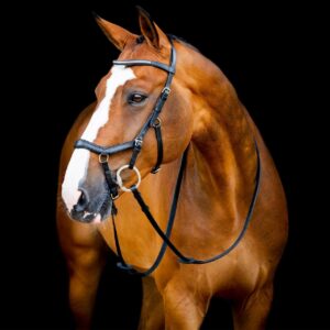 Horseware Ireland Trense Micklem 2 Diamante Competition Bridle Micklemtrense