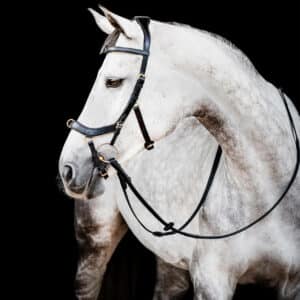 Horseware Ireland Trense Micklem 2 Multi Competition Bridle Micklemtrense