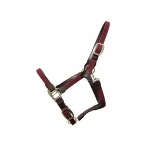 Kentucky Horsewear Stallhalfter Plaited Nylon Halfter Nylonhalfter