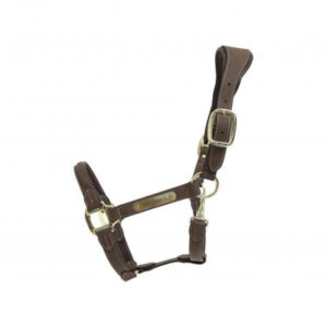 Kentucky Horsewear Wildlederhalfter Anatomic Pferdehalfter