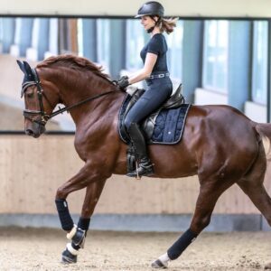 Waldhausen Schabracke Dressur Modern Rosé Dressurgamasche